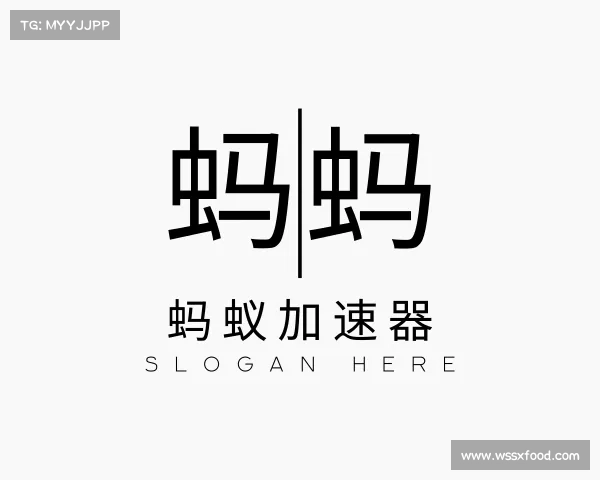 发现蚂蚁加速器