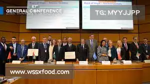 蚂蚁加速器下载——智能护航，实时保障系统稳定，畅享无忧体验！